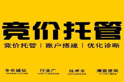 百度推广在电商行业的应用案例